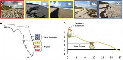 Resilient Eggs: Highly Successful Loggerhead Sea Turtle Nesting Sites Vary in Their Characteristics